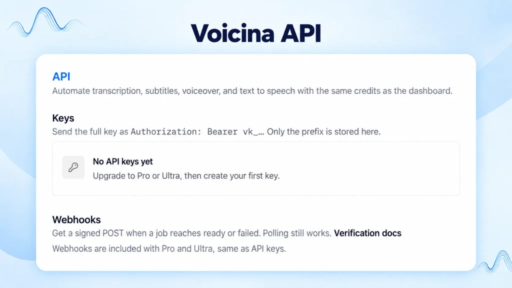 Voicina: AI Transcription, Subtitles, Translation and Dubbing 12 Voicina API interface overview