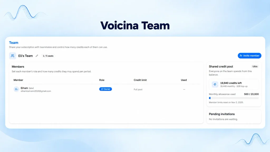 Voicina: AI Transcription, Subtitles, Translation and Dubbing 4 Voicina Team dashboard overview
